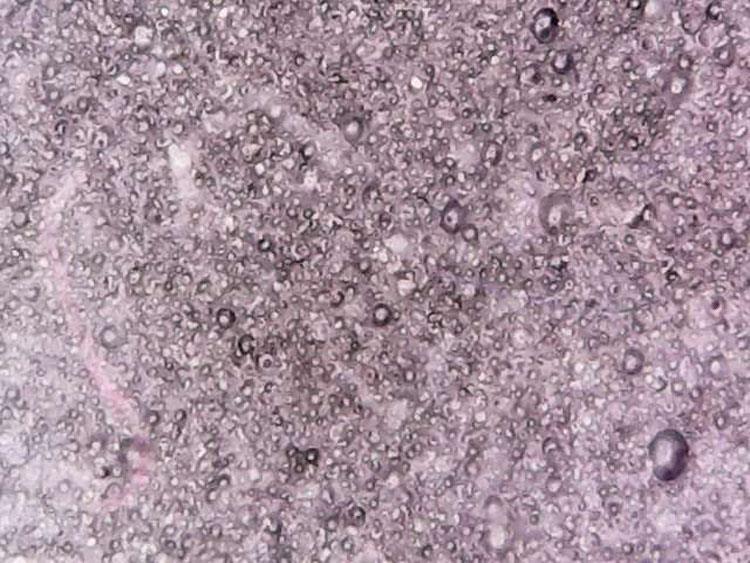 the structure of Polyurethane Tires